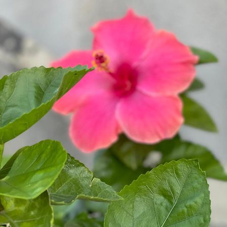 Oasi Del Lago Regalbuto 外观 照片