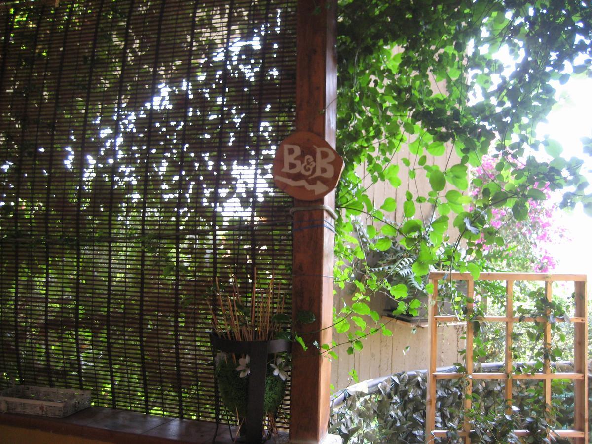 Oasi Del Lago Regalbuto 外观 照片