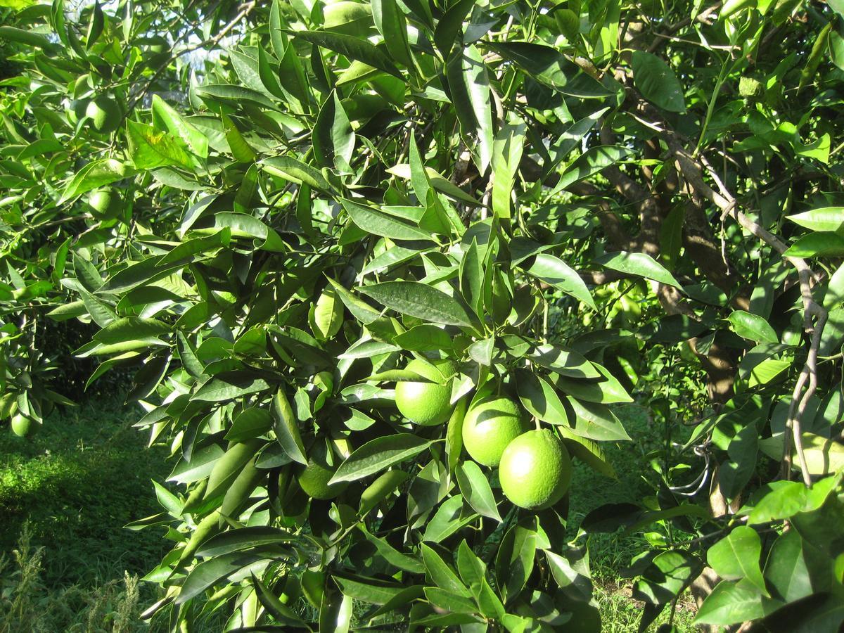 Oasi Del Lago Regalbuto 外观 照片